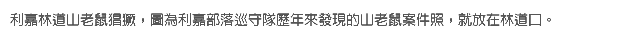 利嘉林道山老鼠猖獗，圖為利嘉部落巡守隊歷年來發現的山老鼠案件照，就放在林道口。