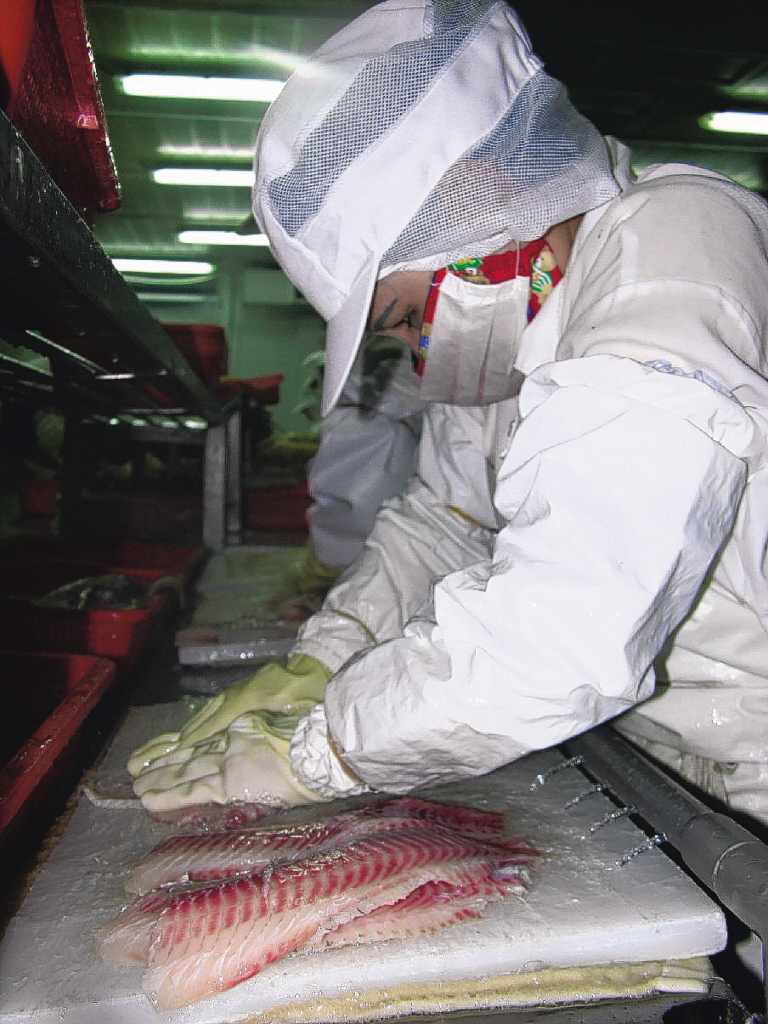 台灣鯛魚片 水煮 豆魚蛋肉類 卡路里 元氣網